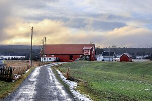 Gjerdrum Åmotsgutua 241225.jpg