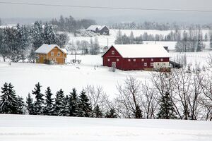 Gjerdrum Asmyr nordre 121225.jpg