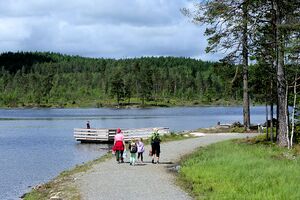 Gjerdrum Buvann-1 130616.jpg