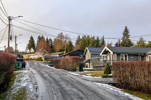 Gjerdrum Haresporet 241226.jpg