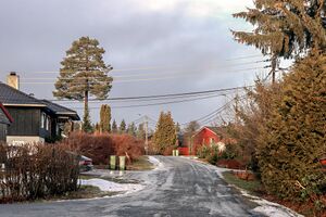 Gjerdrum Røyskattvegen 241226.jpg