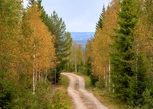 Gjerdrum Ringdalsvegen 090912.jpg