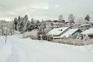 Gjerdrum Skogvegen 231225.jpg