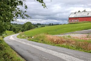 Gjerdrum Vangsdalen 250707.jpg