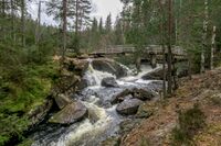 Stryk like øst for Grytfossen. Foto: Leif-Harald Ruud (2020)