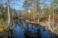 Gjermåa like nord for Buvannet. Foto: Leif-Harald Ruud (2018)