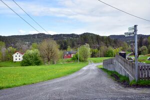 Gjerstad, Bjordamsveien-1.jpg