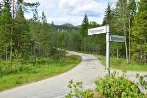 Gjerstad, Fisktjennveien-1.jpg