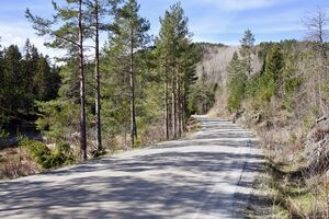 Gjerstad, Krokenveien-1.jpg