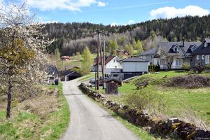 Gjerstad, Løyteveien-1.jpg