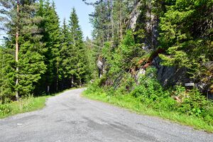 Gjerstad, Rødsøygardveien-1.jpg