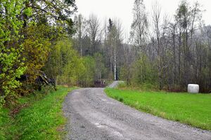 Gjerstad, Røyslandsveien-1.jpg