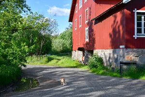 Gjerstad, Rafstølveien-1.jpg