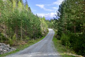 Gjerstad, Ståltjennveien-1.jpg