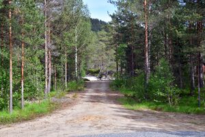 Gjerstad, Tvilandstjennene-1.jpg