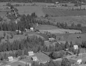Gjestrumbakkgutua i Vestre Toten 1956.jpg