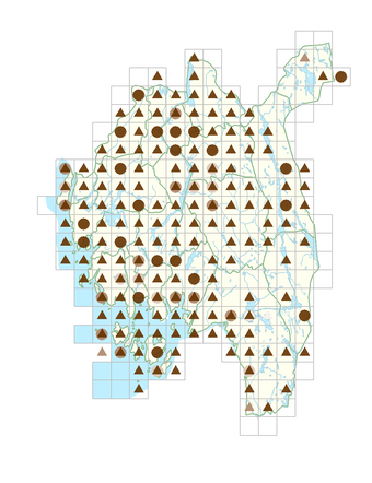 Glechoma hederacea.png