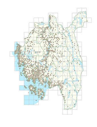 Glechoma hederacea 1.png