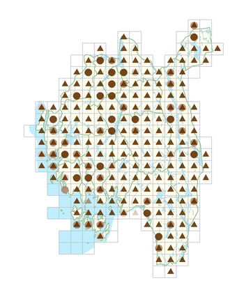 Gnaphalium uliginosum.png