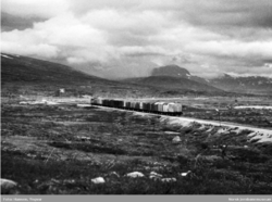 «Godsekspressen Alnabru-Bodø» på Nordlandsbanen ved Stødi. Foto: Yngvar Hansen
