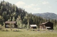 Plassen rundt 1960, med Gorudvollåsen i bakgrunnen. (Foto: Olav Homlebekk)