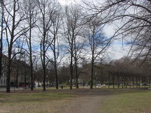 Gråbeinsletta Oslo 2012 2.jpg