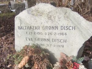 Grønn Disch Haslum.jpeg