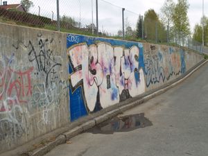 Grafitti Rodtvet.JPG