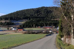 Gran Fortenvegen 251116.jpg