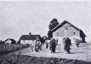 Granbakken i Sbb.JPG