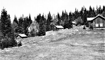 Granlund Brandval Finnskog 1976.jpg