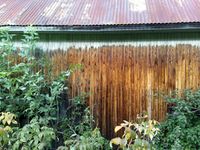 43. Granum malingsrester.jpg