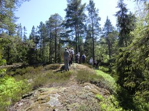 Grasåsen (be-2010-06-06-CIMG0513).JPG