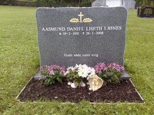 Grav Ljønes.jpg