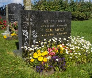 Grav Vardal Lauvli.jpg