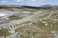 Anlegg 4 i Gravdalen. I framgrunnen ser vi to groper med ledegjerde. I søkket ned mot åa i bakgrunnen ei grop til og kjøtlager. Foto: Arnfinn Kjelland (2014)