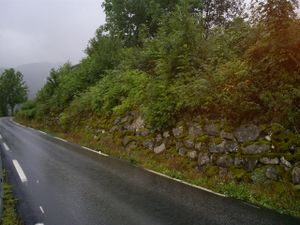 Gravfunn i Kleivadn.jpeg