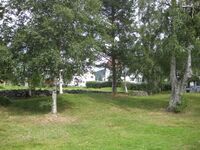 Vi ser her lenger inn i feltet med gravhaugar nord for sjølve Øyskogen. Foto: Olav Momrak-Haugan. 2010