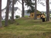 Dette er den største gravhaugen i Øyskogen, den ligg i nordaustre hjørne. Foto: Olav Momrak-Haugan. 2010