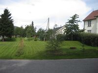 Gravhaugar mellom husrekkene nord for sjølve Øyskogen. Foto: Olav Momrak-Haugan. 2010