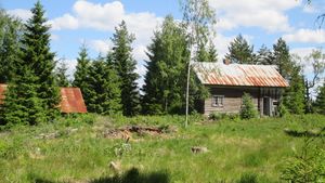 Gravlia nedre under Sidselrud Kongsvinger kommune 1 2014.jpg