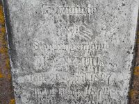 Stortingsmann Ola Nyhuus, storebroren til Olinus.