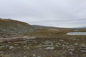 Gravranden tjørn.JPG