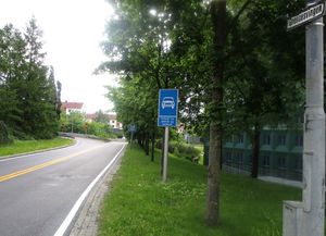 Grensesvingen Oslo 2015.jpg