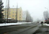 Motiv fra Grenseveien ved Haslevollen. Foto: Stig Rune Pedersen (2014)