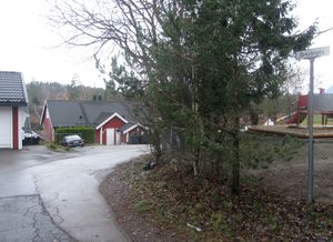 Grevlinglia Oslo 2014.jpg