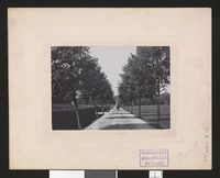 14. Grimstad, Fra Alleen fra Vestervejen - no-nb digifoto 20140407 00020 bldsa FA0145.jpg