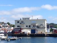 Fiskernes salgslag i Storgaten 2. Foto: Siri Johannessen (2019).