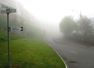 Grindbakken Oslo 2015.jpg