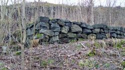 Denne gamle grunnmuren ser du når du følger veien opp fra friområdet Propsen. Totalt var området her med grunnmurer og plannering på ca 2000 m2. Det ble tilpasset terrenget med 2-3 forskjellige nivåer. (Foto Ragnar Vadseth 2017)